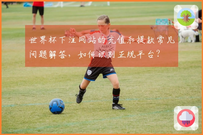 世界杯下注网站的充值和提款常见问题解答，如何识别正规平台？