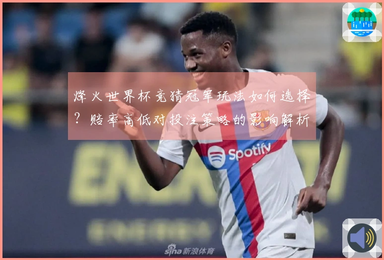 烽火世界杯竞猜冠军玩法如何选择？赔率高低对投注策略的影响解析