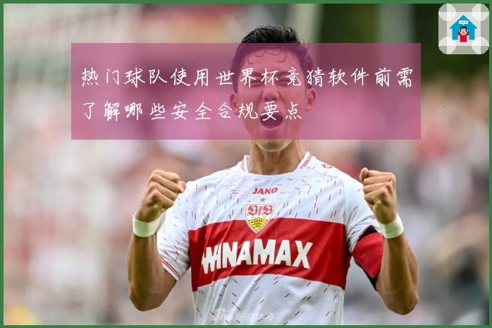 热门球队使用世界杯竞猜软件前需了解哪些安全合规要点