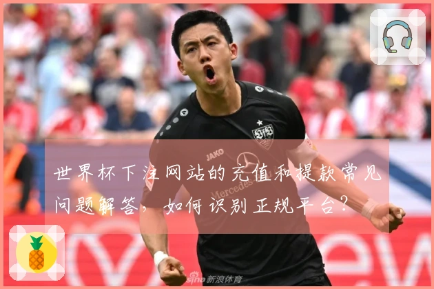 世界杯下注网站的充值和提款常见问题解答，如何识别正规平台？